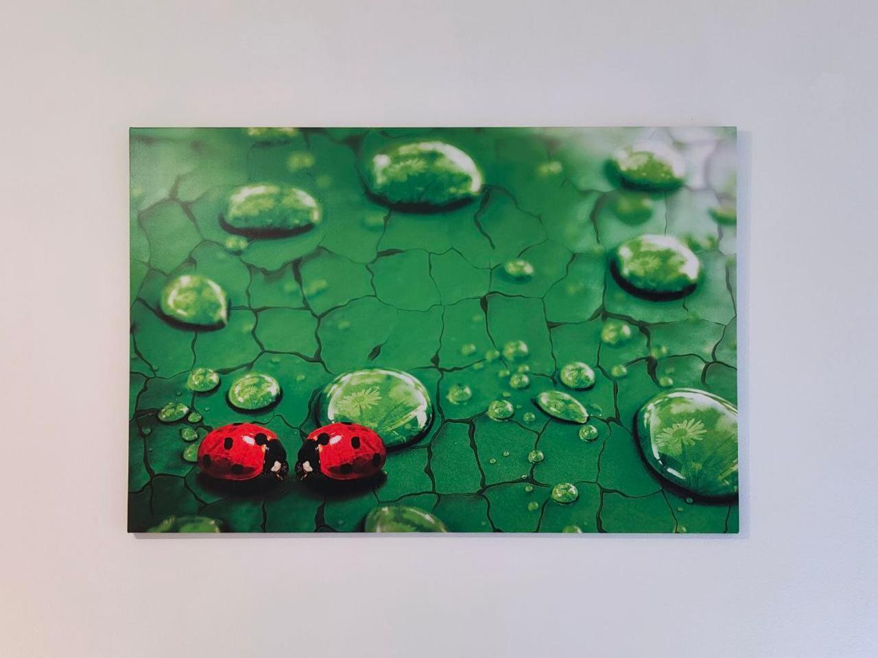 La Coccinella Di Susa Перджине-Вальсугана Экстерьер фото